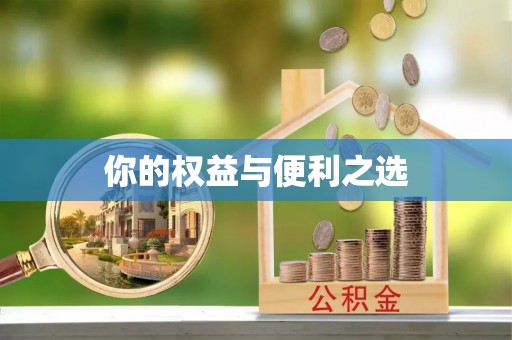 暖暖你的权益与便利之选
