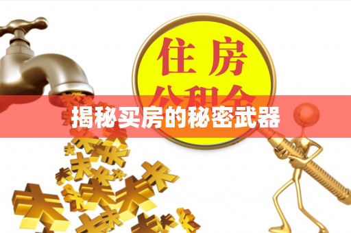 暖暖揭秘买房的秘密武器