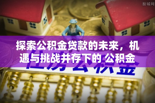暖暖探索公积金贷款的未来，机遇与挑战并存下的 公积金贷款风险防控