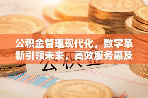 暖暖公积金管理现代化，数字革新引领未来，高效服务惠及民生