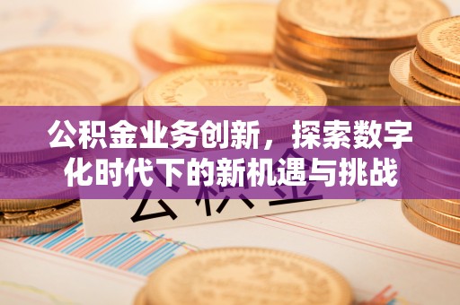 暖暖公积金业务创新，探索数字化时代下的新机遇与挑战