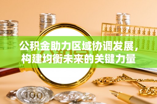 暖暖公积金助力区域协调发展，构建均衡未来的关键力量