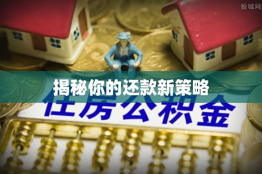 暖暖揭秘你的还款新策略