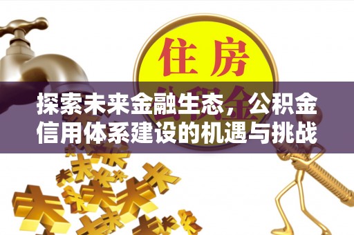 暖暖探索未来金融生态，公积金信用体系建设的机遇与挑战