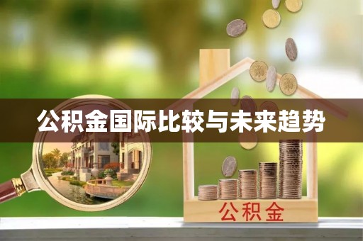 暖暖公积金国际比较与未来趋势