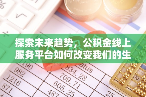 暖暖探索未来趋势，公积金线上服务平台如何改变我们的生活