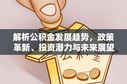 暖暖解析公积金发展趋势，政策革新、投资潜力与未来展望