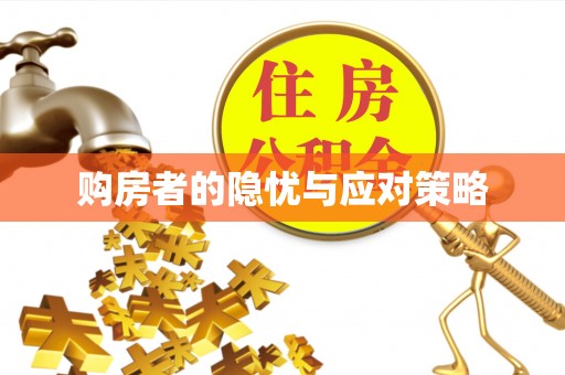 暖暖购房者的隐忧与应对策略