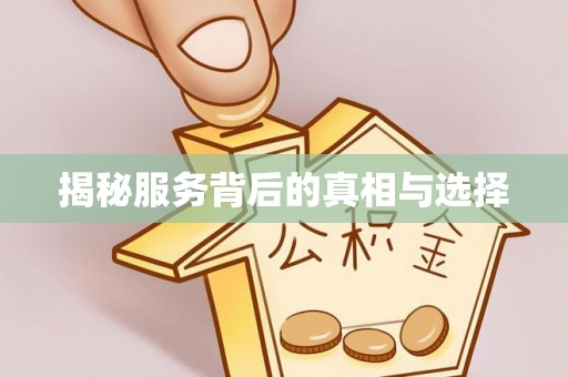 暖暖揭秘服务背后的真相与选择