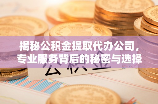 暖暖揭秘公积金提取代办公司，专业服务背后的秘密与选择指南