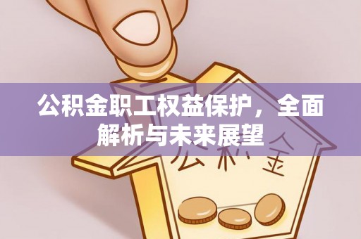 暖暖公积金职工权益保护，全面解析与未来展望
