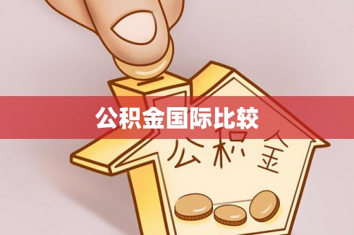 暖暖公积金国际比较