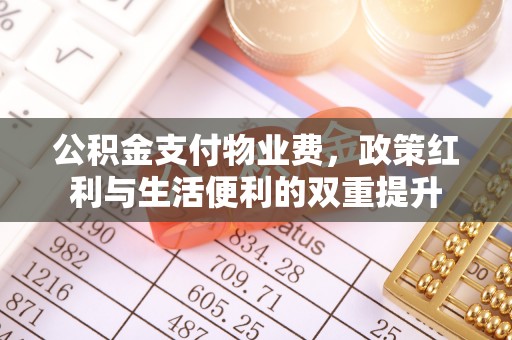 暖暖公积金支付物业费，政策红利与生活便利的双重提升