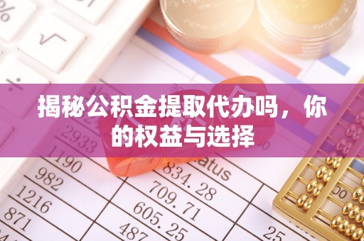 暖暖揭秘公积金提取代办吗，你的权益与选择