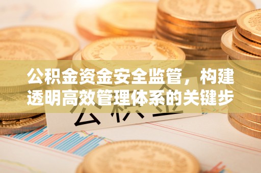 暖暖公积金资金安全监管，构建透明高效管理体系的关键步骤