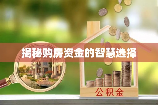 暖暖揭秘购房资金的智慧选择