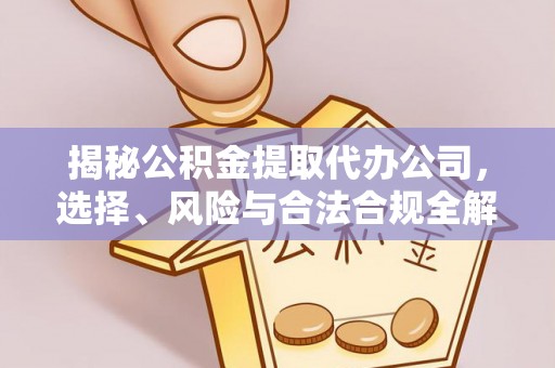 暖暖揭秘公积金提取代办公司，选择、风险与合法合规全解析