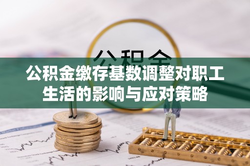 暖暖公积金缴存基数调整对职工生活的影响与应对策略