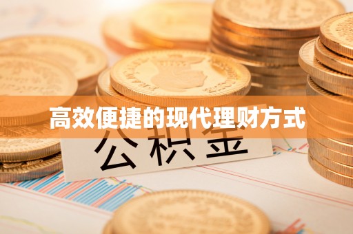暖暖高效便捷的现代理财方式