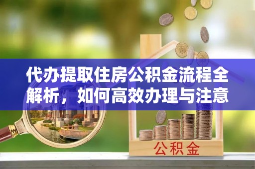 暖暖代办提取住房公积金流程全解析，如何高效办理与注意事项