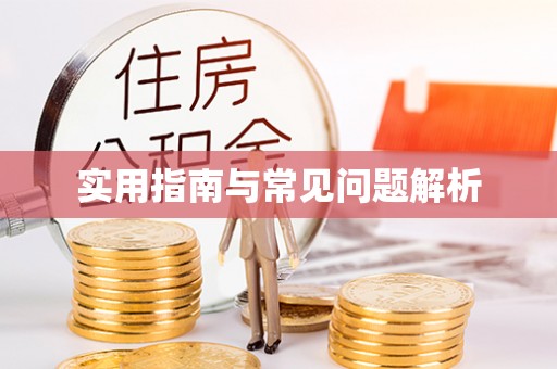 暖暖实用指南与常见问题解析