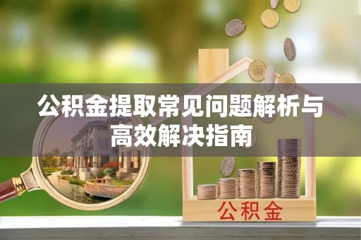 暖暖公积金提取常见问题解析与高效解决指南