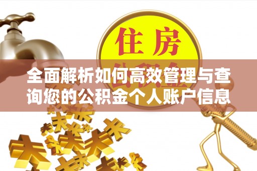 暖暖全面解析如何高效管理与查询您的公积金个人账户信息