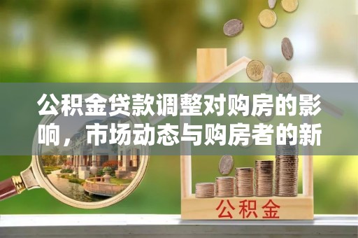 暖暖公积金贷款调整对购房的影响，市场动态与购房者的新选择