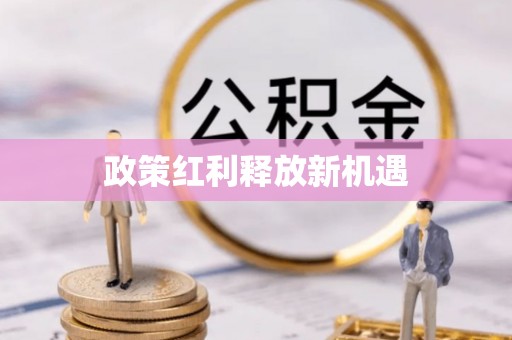 暖暖政策红利释放新机遇