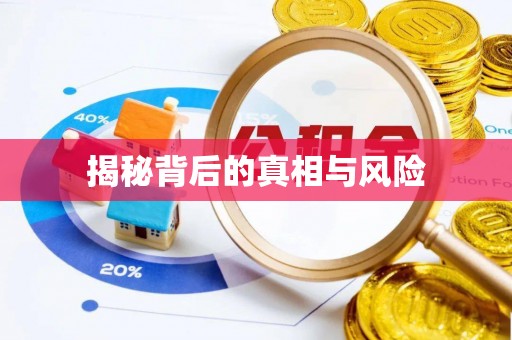 暖暖揭秘背后的真相与风险