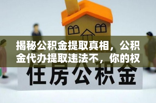 暖暖揭秘公积金提取真相，公积金代办提取违法不，你的权益如何保障？