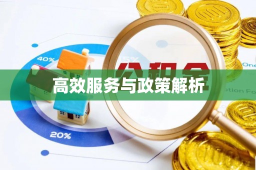 暖暖高效服务与政策解析