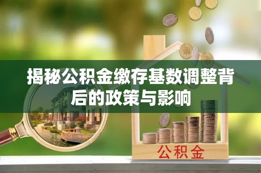 暖暖揭秘公积金缴存基数调整背后的政策与影响