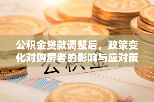 暖暖公积金贷款调整后，政策变化对购房者的影响与应对策略