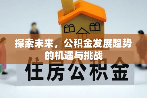 暖暖探索未来，公积金发展趋势的机遇与挑战