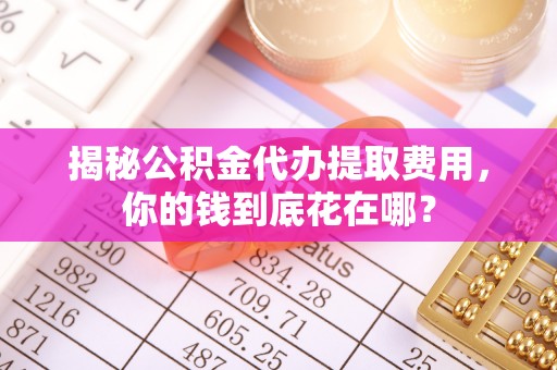 暖暖揭秘公积金代办提取费用，你的钱到底花在哪？