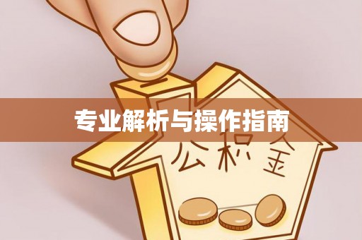 暖暖专业解析与操作指南