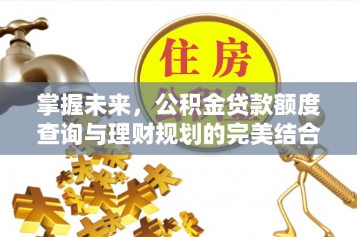 暖暖掌握未来，公积金贷款额度查询与理财规划的完美结合