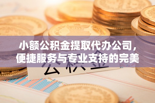 暖暖小额公积金提取代办公司，便捷服务与专业支持的完美结合