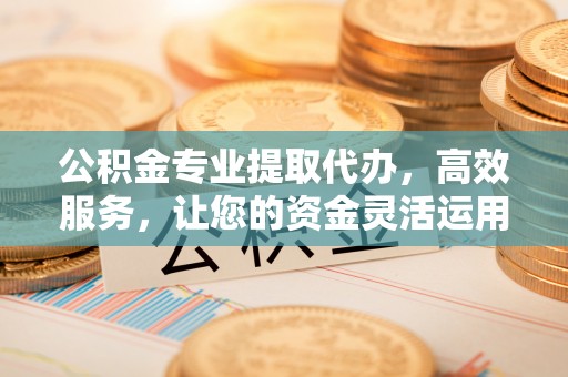 暖暖公积金专业提取代办，高效服务，让您的资金灵活运用