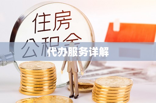 暖暖代办服务详解