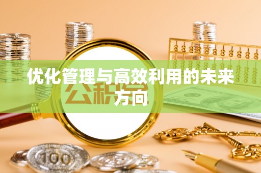 暖暖优化管理与高效利用的未来方向