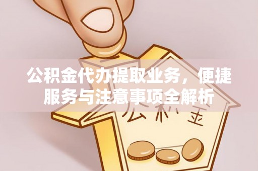 暖暖公积金代办提取业务，便捷服务与注意事项全解析