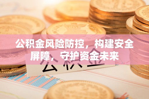 暖暖公积金风险防控，构建安全屏障，守护资金未来