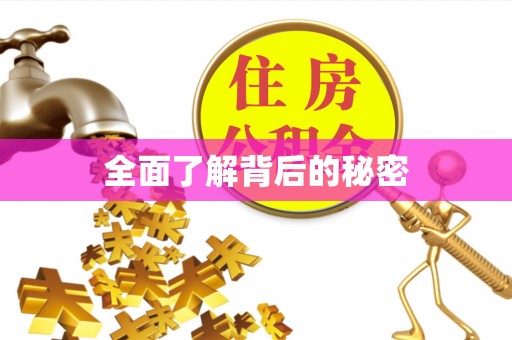 暖暖全面了解背后的秘密