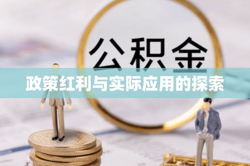 暖暖政策红利与实际应用的探索
