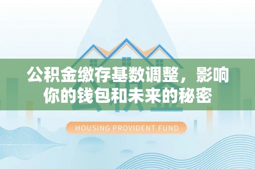 暖暖公积金缴存基数调整，影响你的钱包和未来的秘密