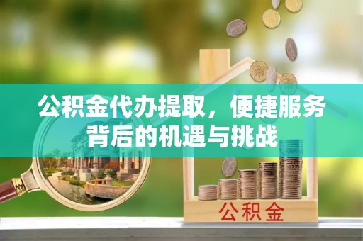 暖暖公积金代办提取，便捷服务背后的机遇与挑战