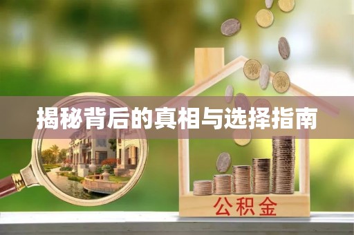 暖暖揭秘背后的真相与选择指南