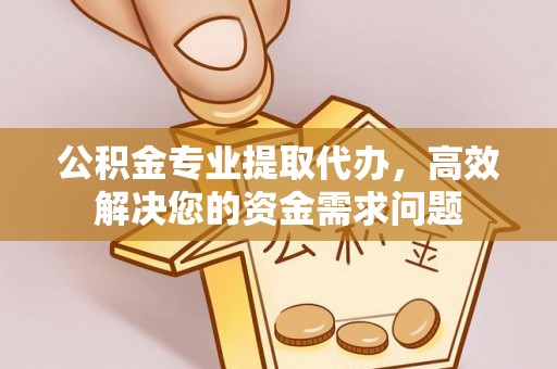 暖暖公积金专业提取代办，高效解决您的资金需求问题